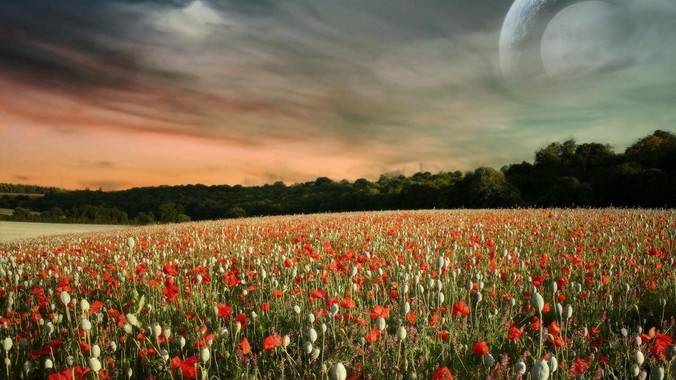 与 rust 相比，Go 语言设计是否相对粗糙？